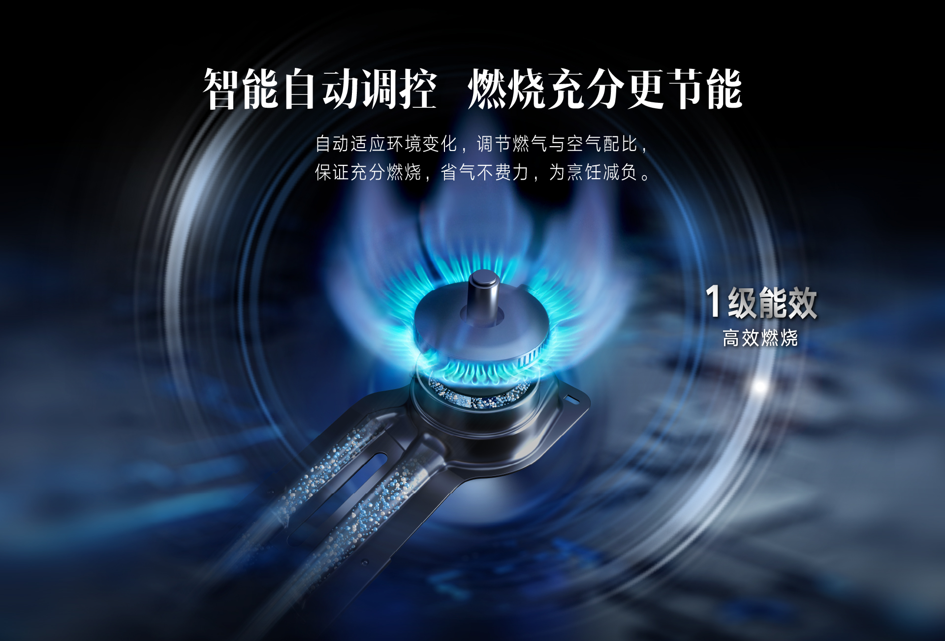 2-燃烧分充.jpg 2-燃烧分充.jpg